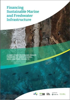 Green Finance Report